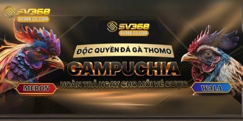 Tầm ảnh hưởng của SV368